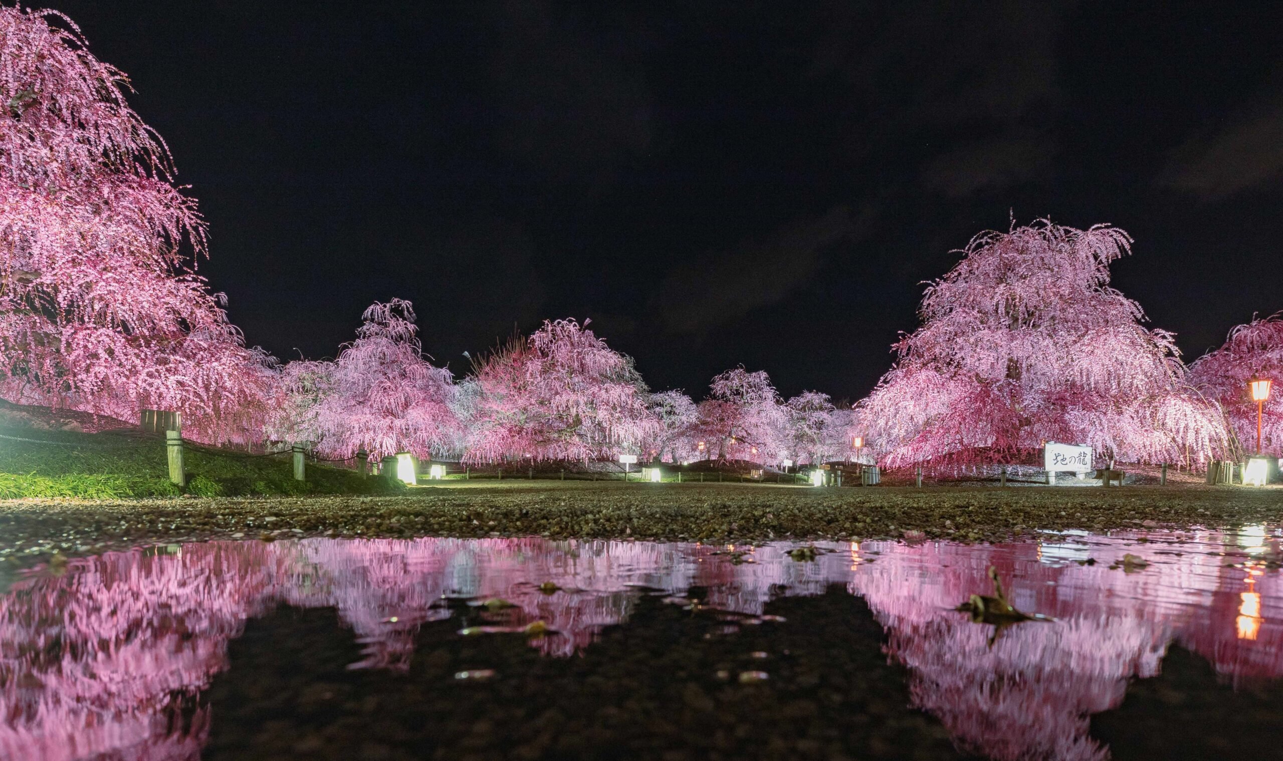 🏞️ 매림공원 (梅林公園) 이미지 10